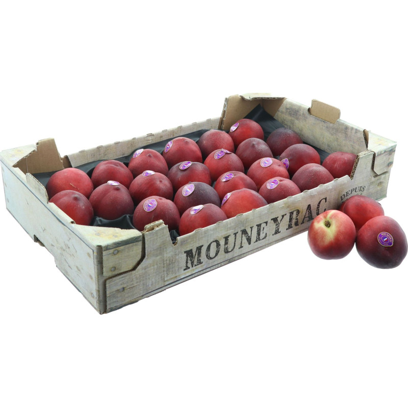 NECTARINE BLANCHE MOUNEYRAC AA KG